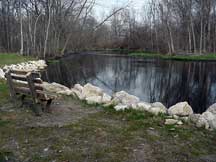 Pond at Arthur Dodd Memorial Park