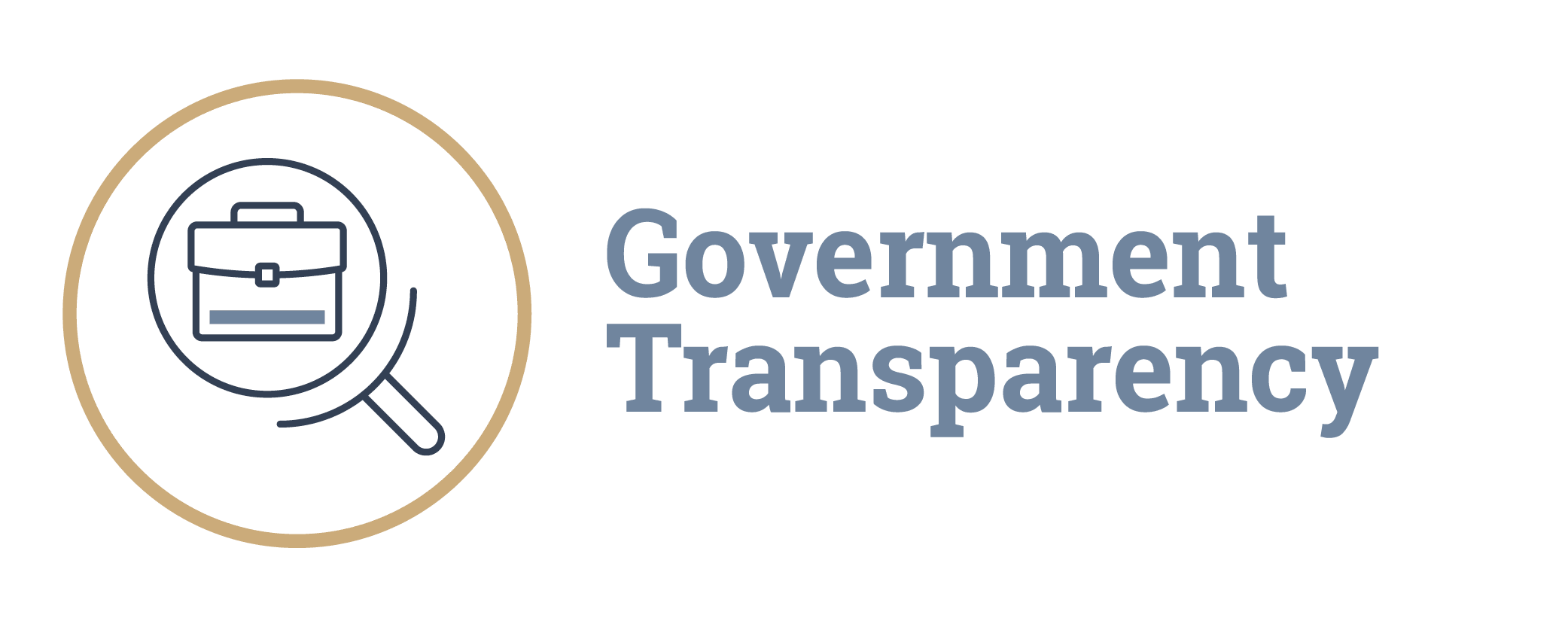 Govt Transparency