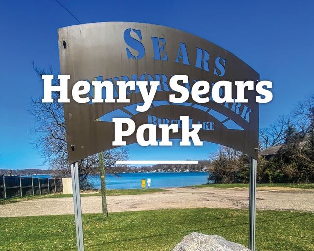 Henry Sears 1 Medium